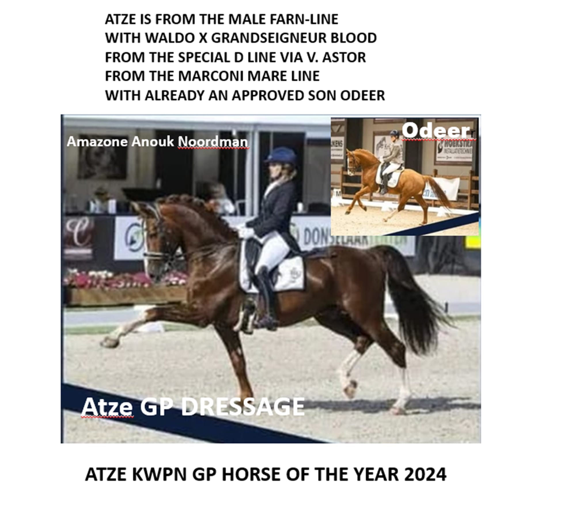 2024 Atze advertentie