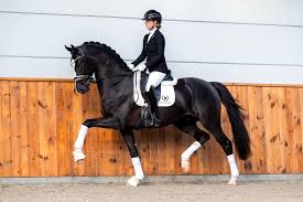 2025 so you can dance 1