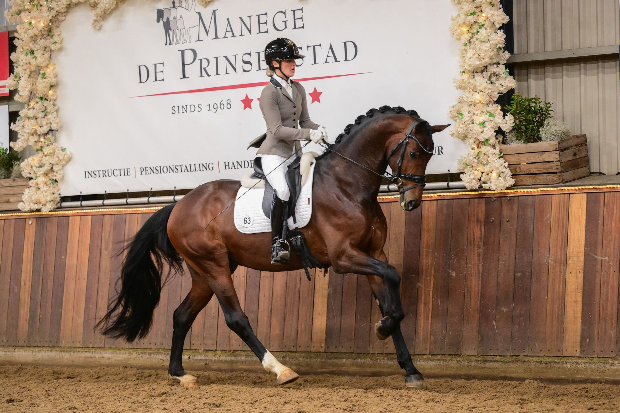 2026 winnaar VWF Dressuur